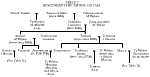 Table I from the Memoirs of Ar'ii Taimai: Descendants of Taurua I Hitiaa