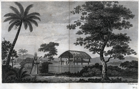 Plate V. A view in the Island of Otaheite; with the house or shed called Tupapow, under which the dead are deposited, and a representation of the person who performs the principal part in the funeral ceremony in his peculiar dress; with a man climbing the bread-fruit tree to get out of his way. 