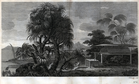 Plate VI. A view in the Island of Huaheine; with the <I>Ewharra no Eatua</I>, or House of God; a small altar with its offering; and a tree called Owharra with which the houses are thatched. 