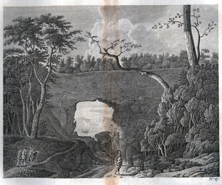 Plate XVII. A view of a perforated rock in Tolaga Bay in New Zealand.